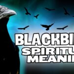 2 black birds spiritual meaning
