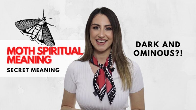 black witch moth spiritual meaning