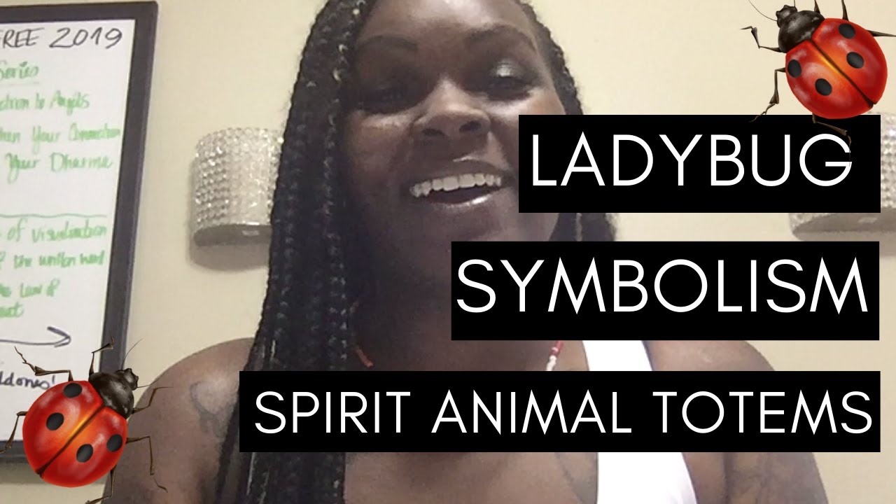 brown ladybug spiritual meaning