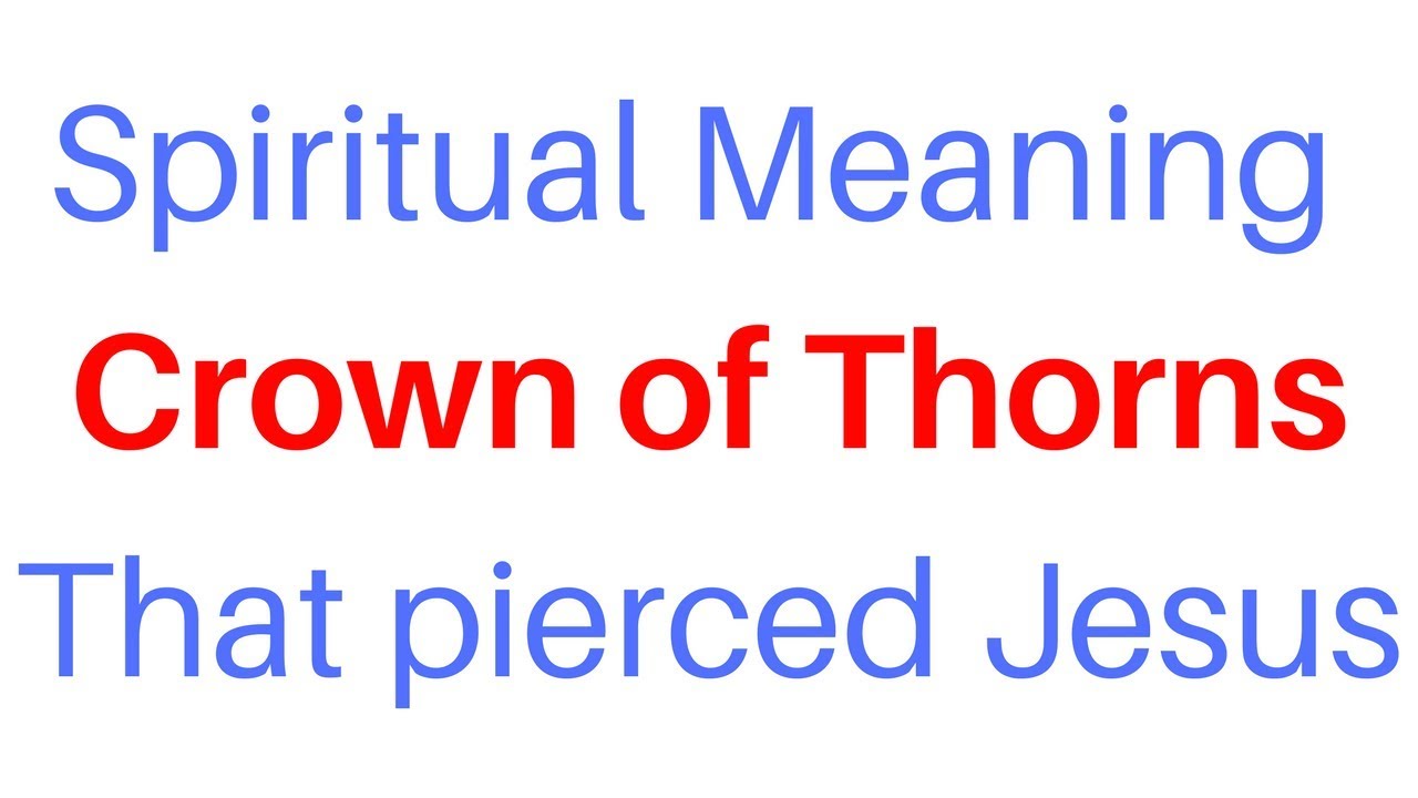 crown of thorns plant spiritual meaning