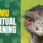 emu spiritual meaning