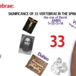 extra vertebrae spiritual meaning