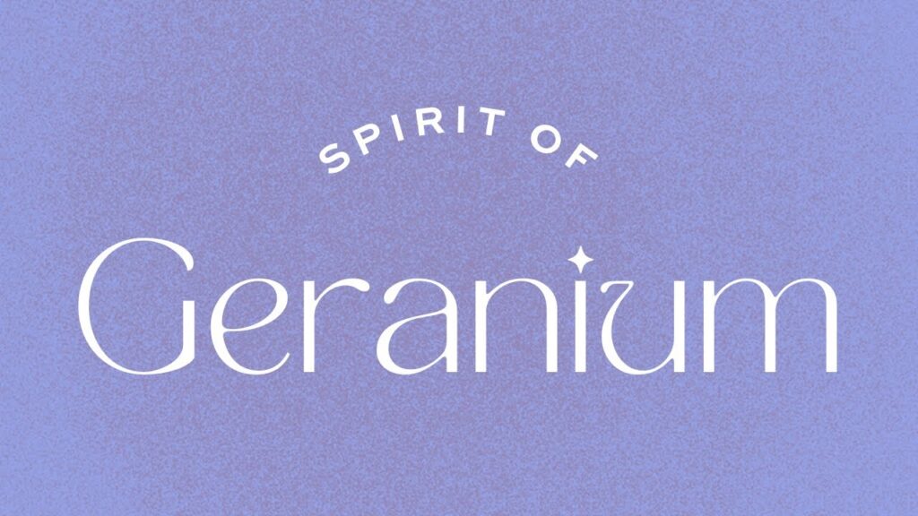 The Spiritual Meaning of Geranium: Exploring its Symbolism and ...