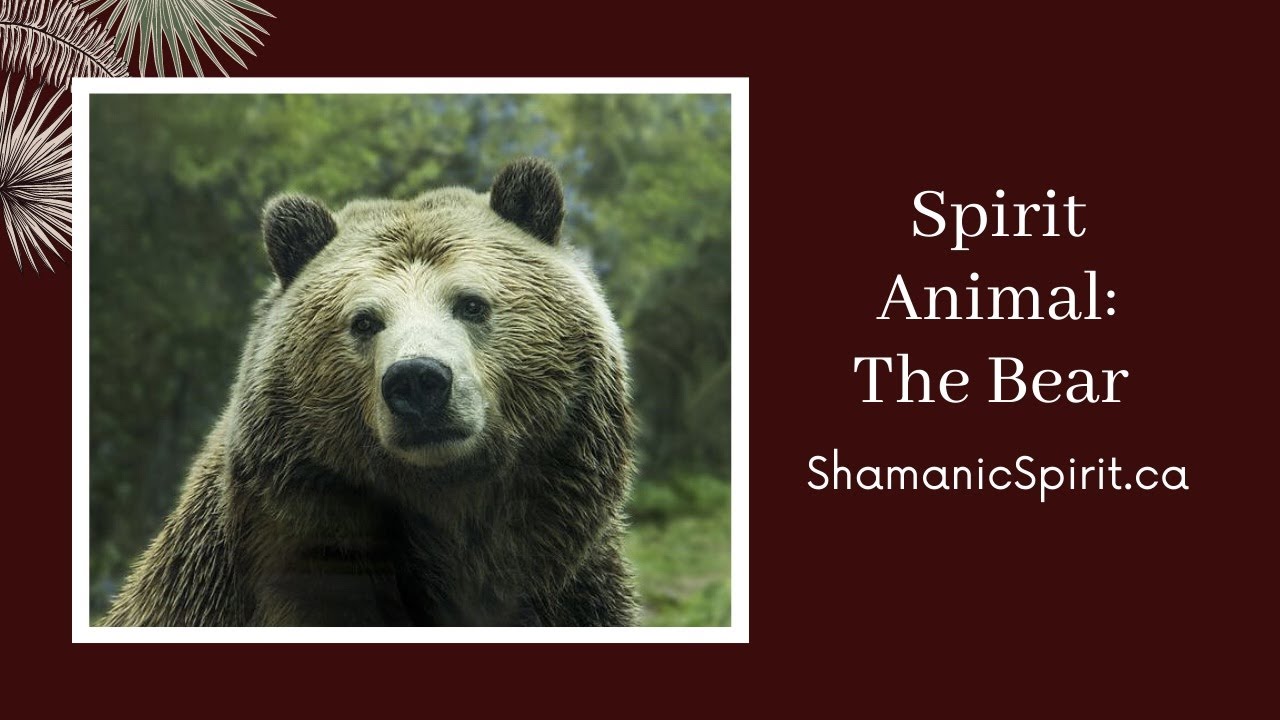 grizzly bear spiritual meaning