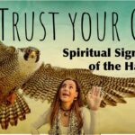 hawk sitting on ground spiritual meaning