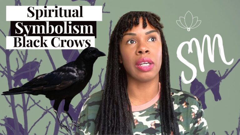 injured crow spiritual meaning