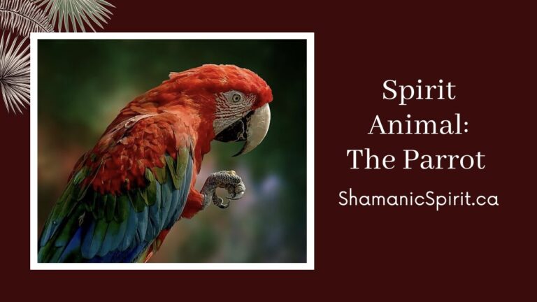 macaw spiritual meaning