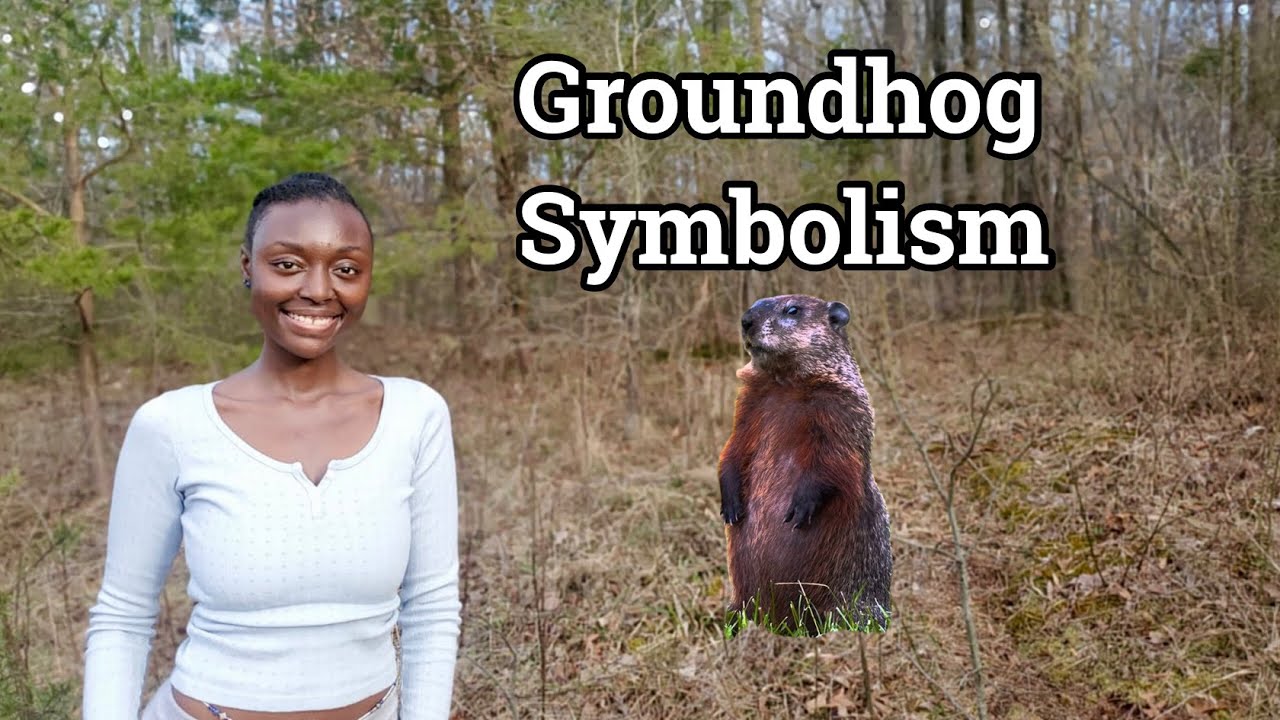 marmot spiritual meaning