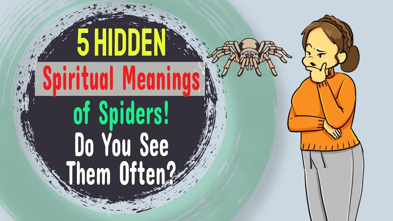 orb weaver spiritual meaning