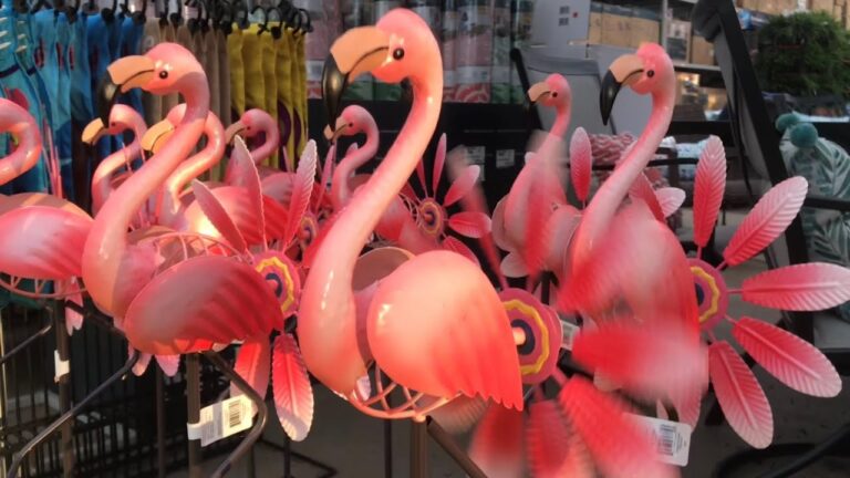 pink flamingo spiritual meaning