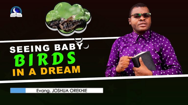 seeing baby birds spiritual meaning