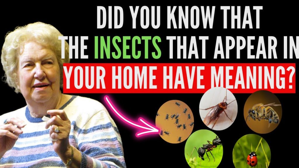 The Spiritual Meaning of Seeing Bugs That Aren't There - Spiritual Meaning