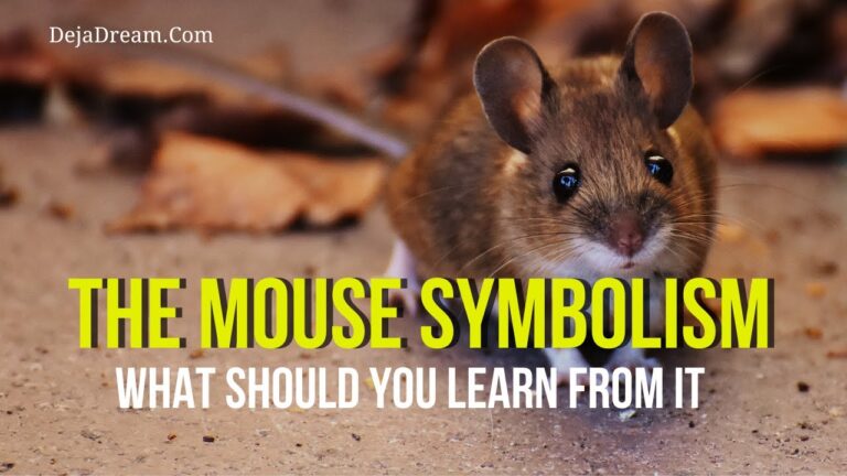 spiritual meaning of a mouse crossing your path
