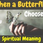 spiritual meaning of butterfly landing on you
