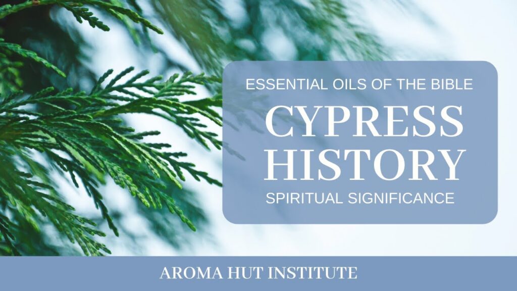 Understanding the Spiritual Meaning of 
