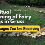 spiritual meaning of fairy rings