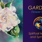spiritual meaning of gardenia