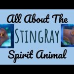 spiritual meaning of manta ray