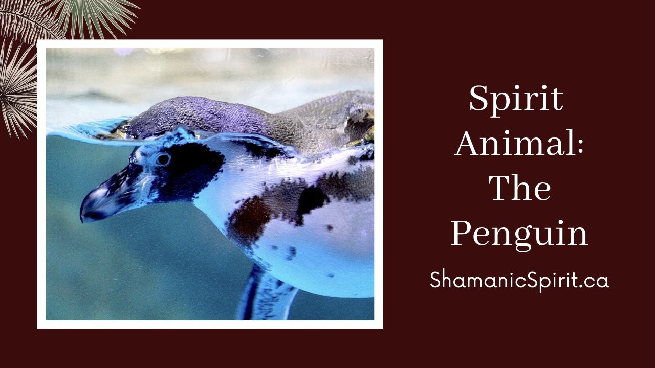 spiritual meaning of penguins