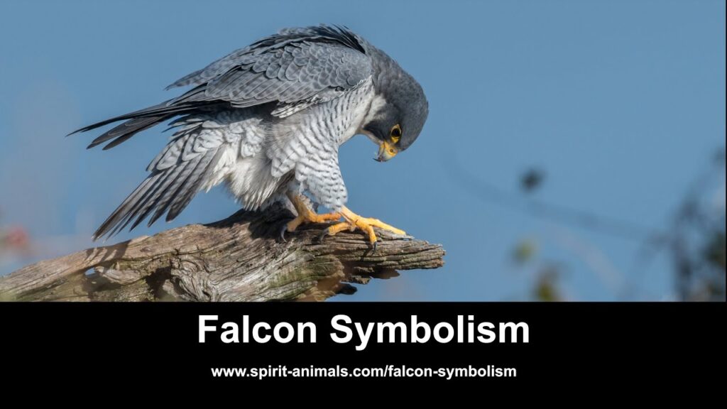 Falcon Spirit The Spiritual Meaning of Peregrine Falcon: Exploring its Symbolism ...