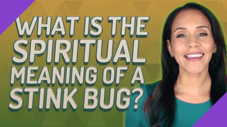 spiritual meaning of seeing a stink bug