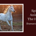 spiritual meaning of white horse