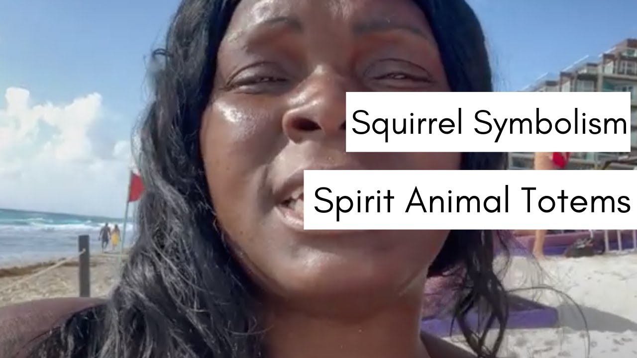 squirrel spiritual meaning twin flame