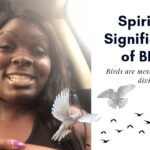 summer tanager spiritual meaning