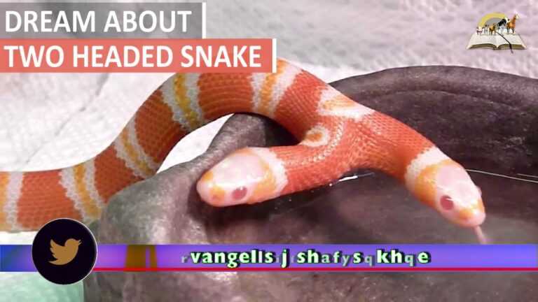 two headed snake spiritual meaning