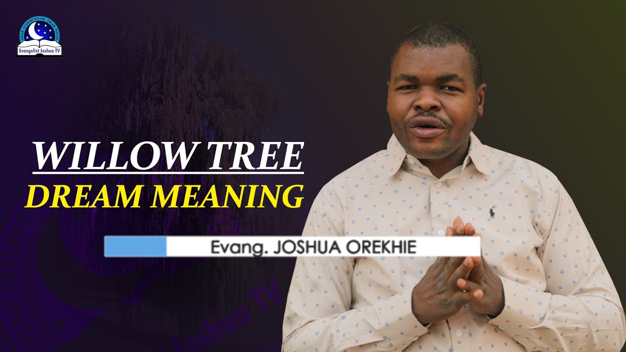 weeping willow tree spiritual meaning