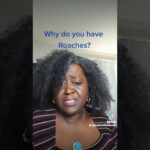 what does it mean when you see a cockroach spiritually