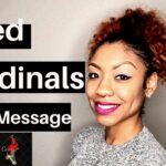 what does seeing a red cardinal mean spiritually