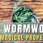wormwood spiritual meaning